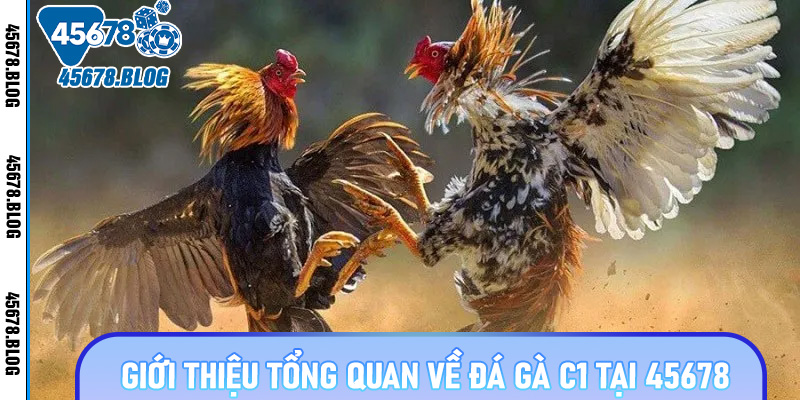 Giới thiệu tổng quan về đá gà C1 tại 45678