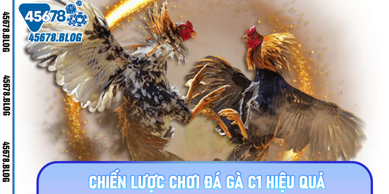 Chiến lược chơi đá gà C1 hiệu quả