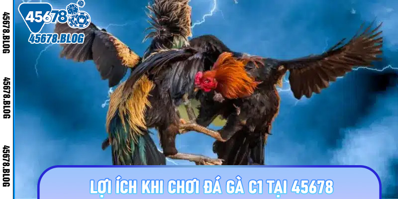 Lợi ích khi chơi đá gà C1 tại 45678